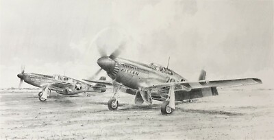 The Tuskegee Airmen by Richard Taylor 10 Tuskegee autographs with Charles McGee 