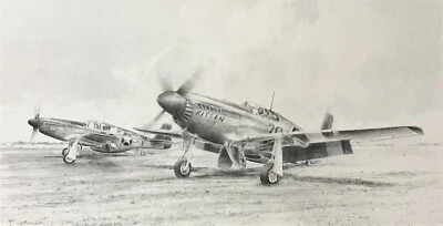 The Tuskegee Airmen by Richard Taylor 10 Tuskegee autographs with Charles McGee - Image 1 of 4