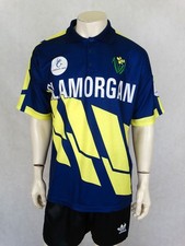 Very Rare Glamorgan Cricket Polo Shirt Jersey Trikot Hogger 46/48 1993
