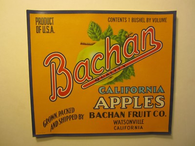 APPLE Crate LABELS COLOR GUARD Wholesale Lot of 100 Old Vintage Washington