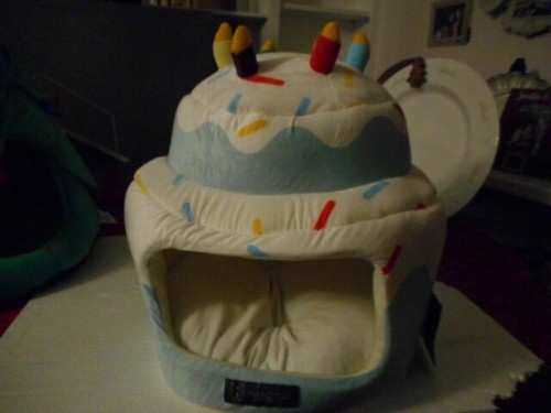 cake cat bed