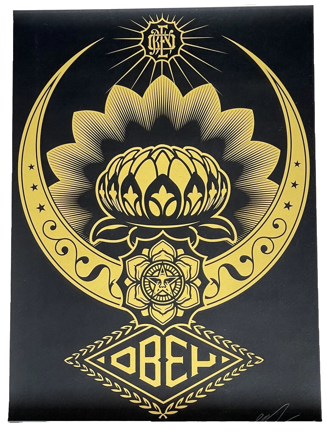 Shepard Fairey Pop Art Arte