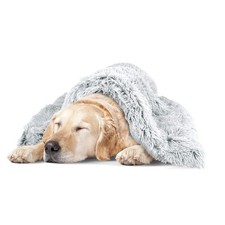 The Dog s Blanket Faux Fur Dog Blanket, Ice White, XL, 38x54 Ice W