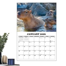 Calendar 2026-2027 Capybara-Themed Anti Ink Bleed Planner 13 Months Wall