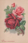 FLOWERS Vintage Postcard CPSMPF #PKG009.U