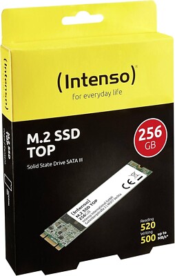 Intenso SSD 256 GB M.2 2280 TOP Performance 256GB SATA III interne Festplatte