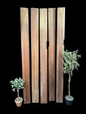5 Wood Trim Pieces, Architectural Salvage, Reclaimed Vintage Wood Baseboard A53,