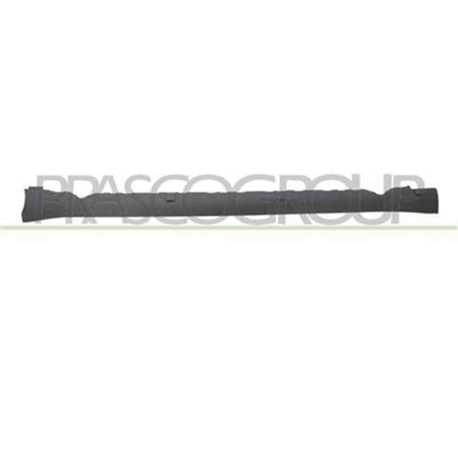 Modanatura Sottoporta Sinistra Tesla Model 3 1089828-00-D | Ricambio OEM