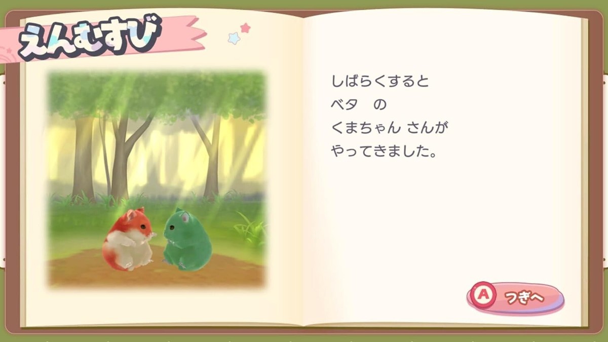 Nintendo Switch - はむハムSHOP✨ SW383 PreOrder Nintendo switch soft ham-parfait Hamster's