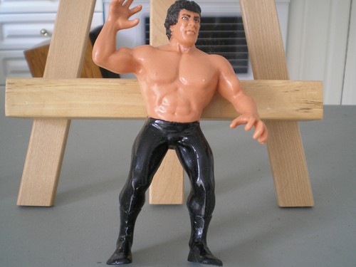 LJN Toys WWF Wresling Superstars Ricky the Dragon ...