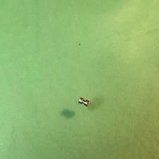 Peseux Cal. 330 Sliding Clutch Watch Movement Parts / T770