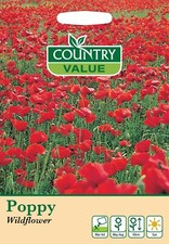 Poppy Seeds 'Wildflower' by Country Value FREE UK DELIVERY Flowers