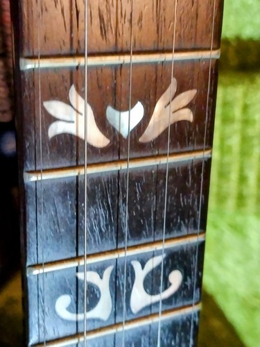 Vtg Alvarez Denver Belle Fancy 5 string banjo Hard Case Japan 1970's Top of Line - Picture 5 of 19