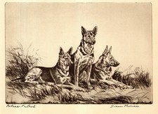 Antique German Shepherd Print Vintage Diana T...