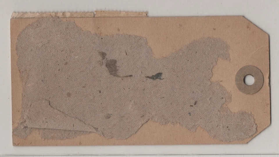 US OAK BLUFFS RARE USEAGE OF SPECIAL DELIVERY ON PARCEL TAG TO BRIDGEWATER MA - Image 2 of 2