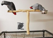 Freisitz für Käfig/Voliere, Papageienfreisitz, Papageienspielzeug, Neuheit 2018