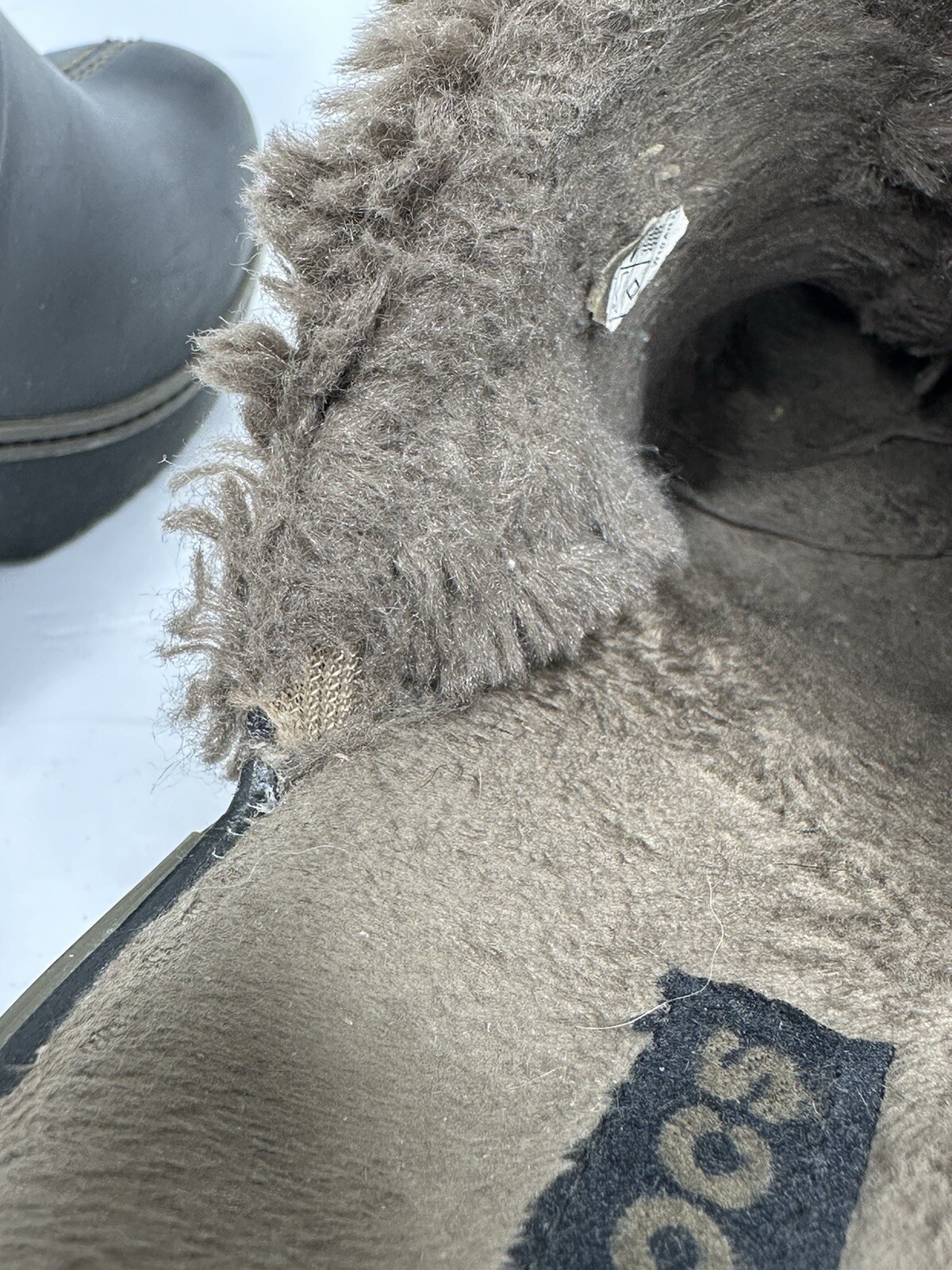 Picture 6 of 10