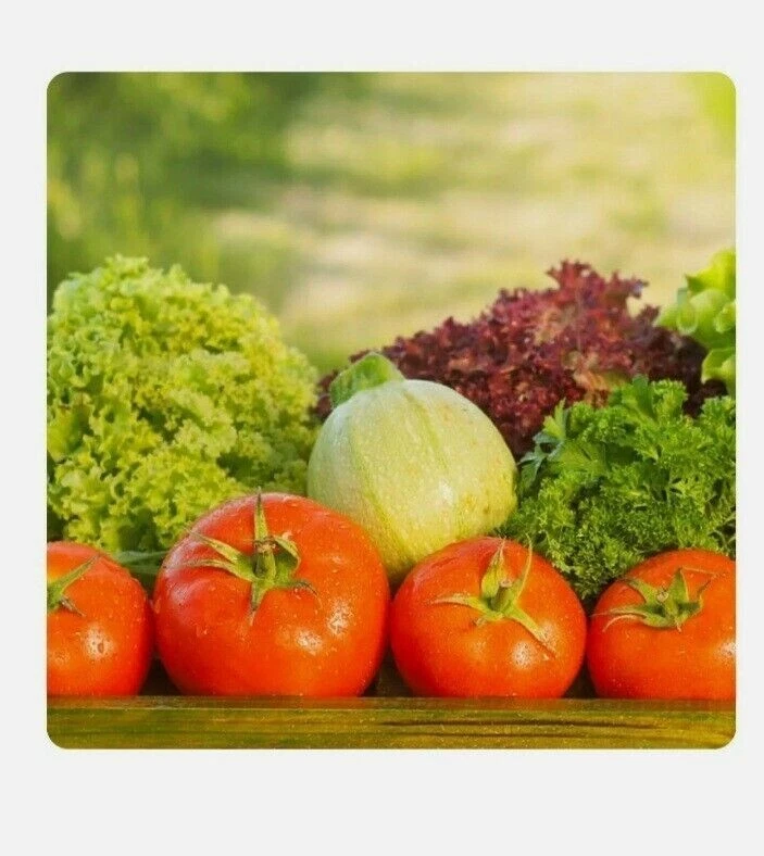 FOSFATO MONOPOTASSICO HAIFA MKP 0-52-34 CONCIME 25 kg FOSFORO POTASSIO PK 52-34 - Immagine 3 di 4