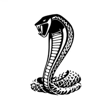 Car Body Window Sticker Cobra Snake Reptile Graphics Decals Decor Accessories