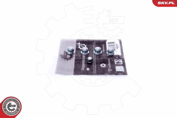 Esen SKV 49SKV530 Reparatursatz, Saugrohrmodul FüR Alfa Romeo,Fiat,Opel,Saab,Vau-image