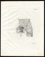 Antique Print-ANATOMY-ANGIOLOGY-ARTERY-REAR TORSO-TESTICLE-Richter-Schroter-1834