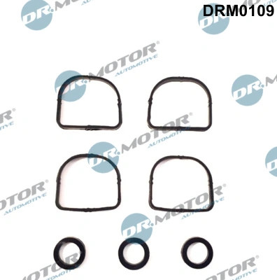 Dr. Motor Automotive DRM0109 Dichtungsset, AnsaugkrüMmer BMW 11617530703-image