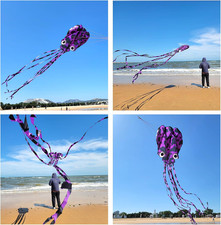 Octopus Kite for Kids  Adults, Easy to Fly Beach Kites for Kid Ages 4-8  28...