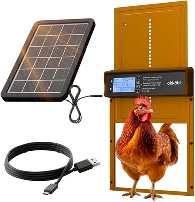 Hühnerklappe automatisch solar mit LCD Display Fernbedienung 24x21 cm Hühnertür