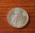 One Troy Oz Silver Walking Liberty  .999 fine silver uncirculated