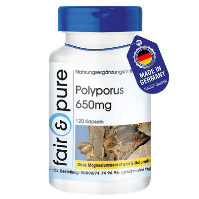 Polyporus 650 mg - 120 Kapseln Pilzpulver - Vitalpilz - 100% vegan - fair & pure
