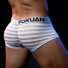 Men's Sexy Underwear Transparent Underpants Boxers Mesh Shorts Pouch Briefs UK