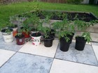 Bild 3 von 4
