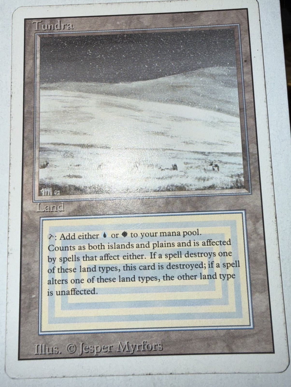 Magic The Gathering Tundra Revised Edition MTG land