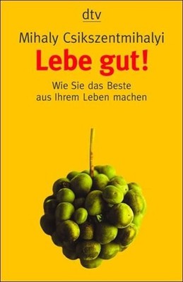 Lebe gut!: Wie Sie das Beste aus Ihrem Leben machen Csikszentmihalyi, Mihaly und