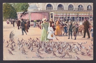 MONACO, Postcard, Monte Carlo, Pigeons, Café de Paris