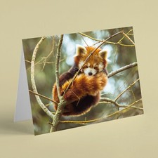Red panda asleep in tree animal birthday card for family friend sister mum dad