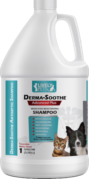 dog shampoo for yeast