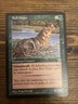 MTG Bull Hippo (2) Portal Regular Uncommon