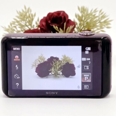 SONY Digital Camera Purple Cyber shot DSC-WX30 5.0x Optical zoom