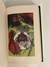 Foto 8 di 8