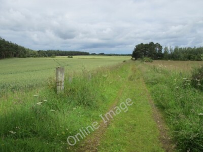 Photo 6x4 Track near Newton of Dalvey Dyke/NH9858 Looking north along th c2011