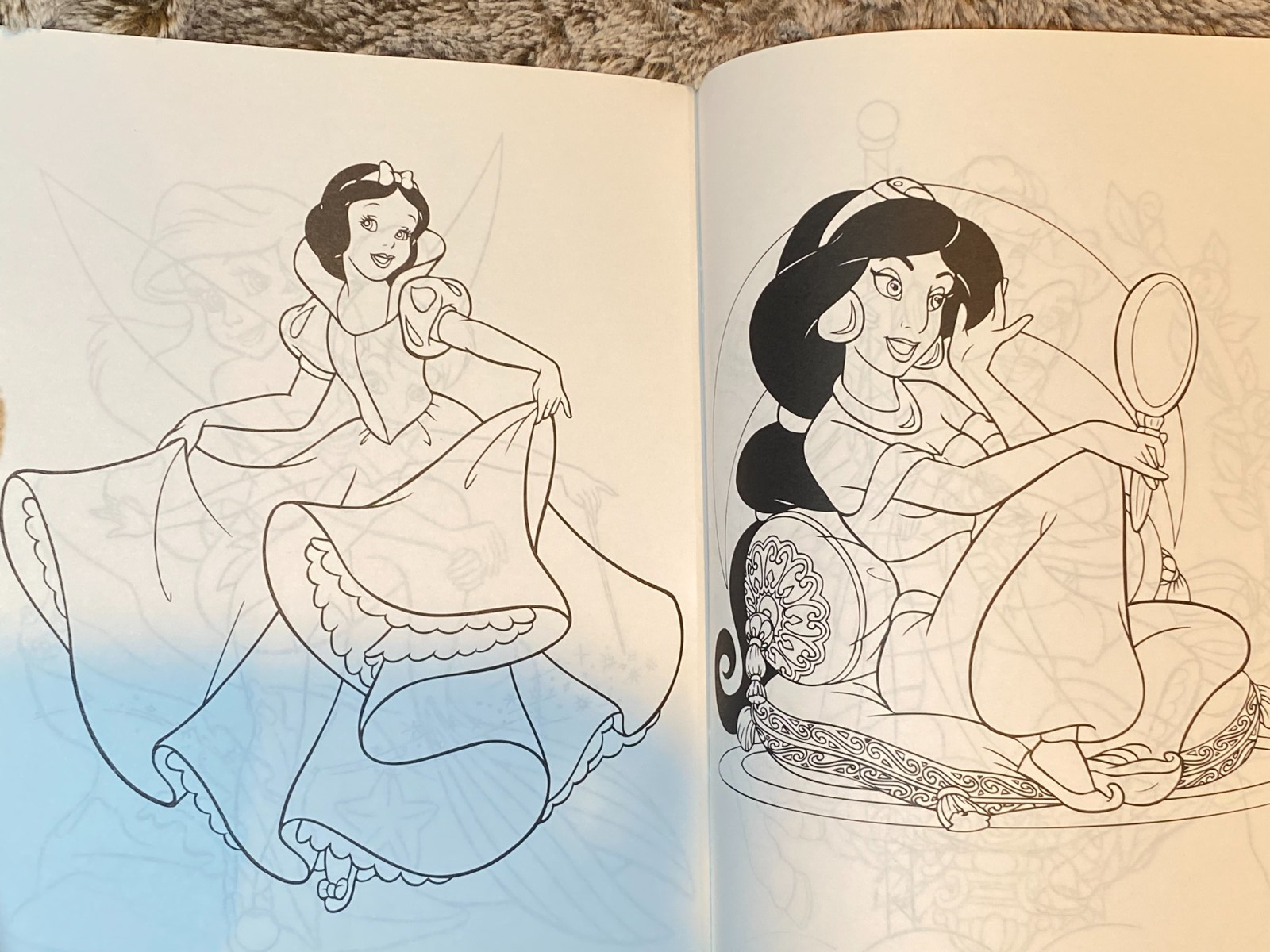 Picture 5 of 5