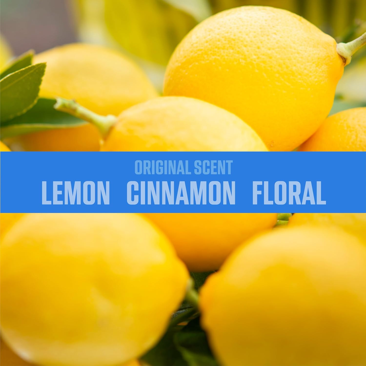 4 Pack Odor Eliminating Gel 4.5oz Air Freshener for Home Car Office Original Sce