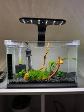Betta Fish Aquarium / Tank Kit