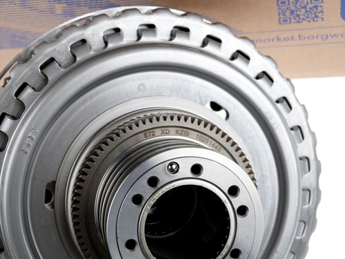 BorgWarner 202154 Kupplungssatz DL501 0B5 7-Gang DSG Getriebe 0B5141030E VAG - Bild 8 von 9