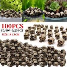20pcs Mini Skulls Decor Skeleton Head Crafts Mini Skulls Set Garden Decor