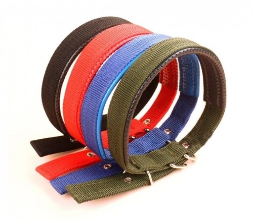 Collar Para Perros En Diferentes Colores (38 X 2 Cm) - Imagen 3 de 3