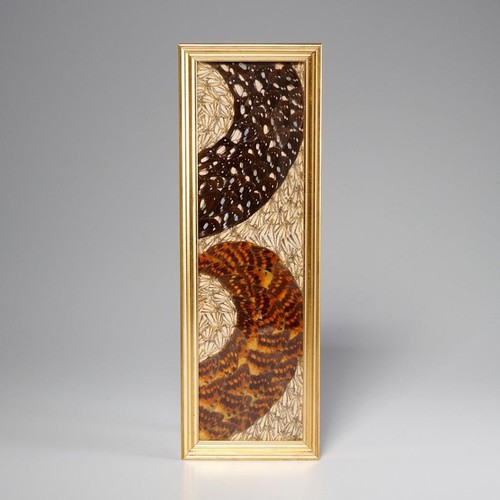 Butterfly Moth Wing Orange Blue Brown Black Framed Taxidermy Wall Art 5x14.5"
