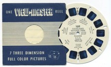 The Everglades National Park Florida 1955 View-Master Single Reel 169