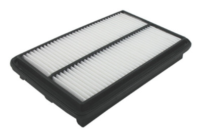 Air Filter Pentius PAB11010